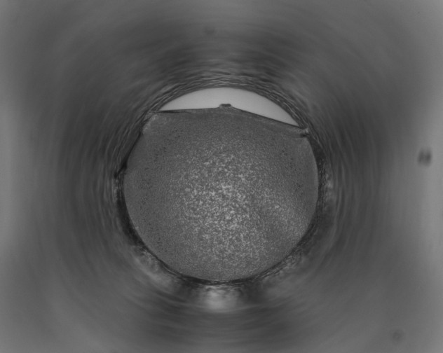 X0000090760275200708031637