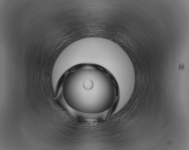 X0000090760276200708031637