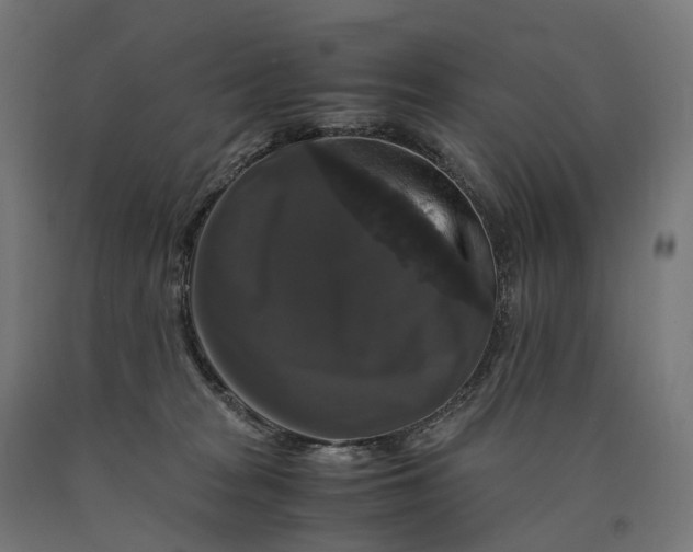 X0000090760277200708031637