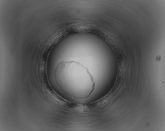 X0000090760278200708031637