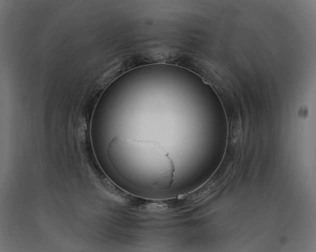 X0000090760279200708031637