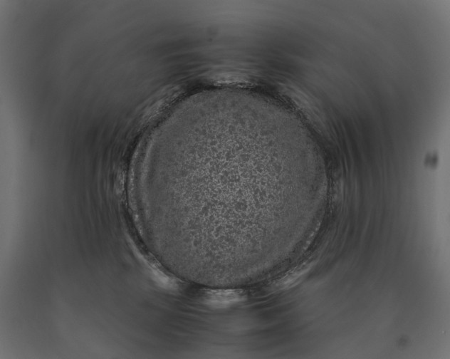 X0000090760281200708031637