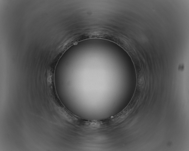 X0000090760282200708031637