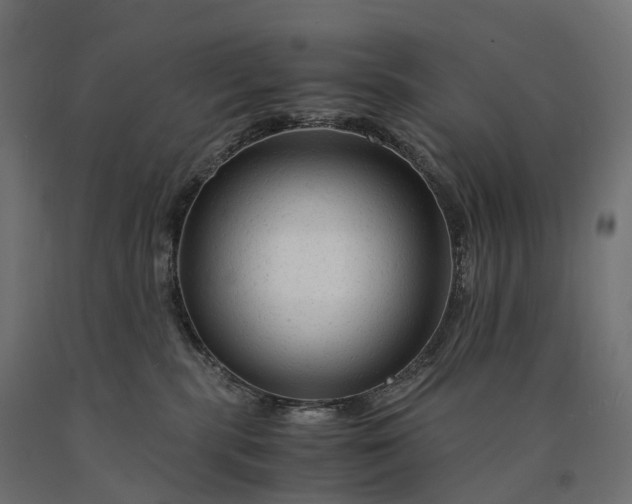 X0000090760283200708031637