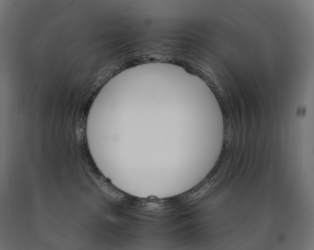 X0000090760285200708031637