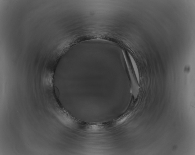 X0000090760286200708031637