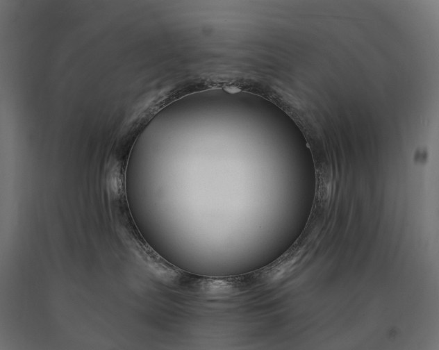 X0000090760287200708031637