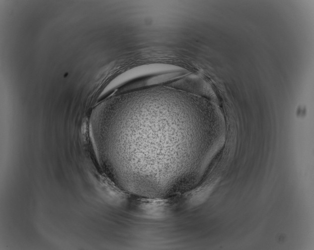 X0000090760288200708031637