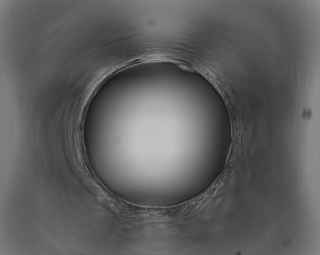 X0000090760289200708031636