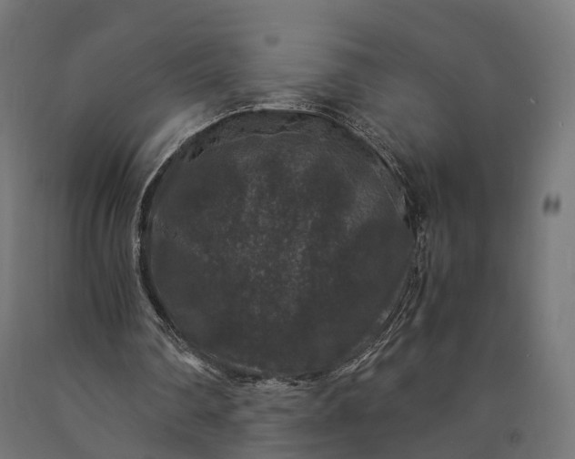 X0000090760290200708031636