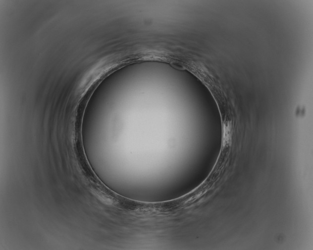 X0000090760291200708031636