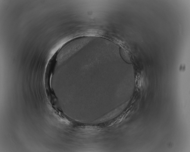 X0000090760292200708031636