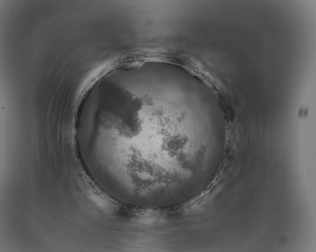 X0000090760293200708031636