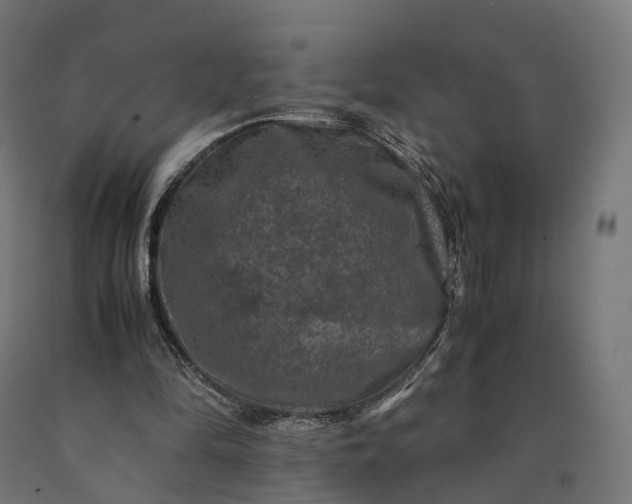 X0000090760294200708031636