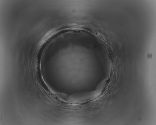 X0000090760295200708031636