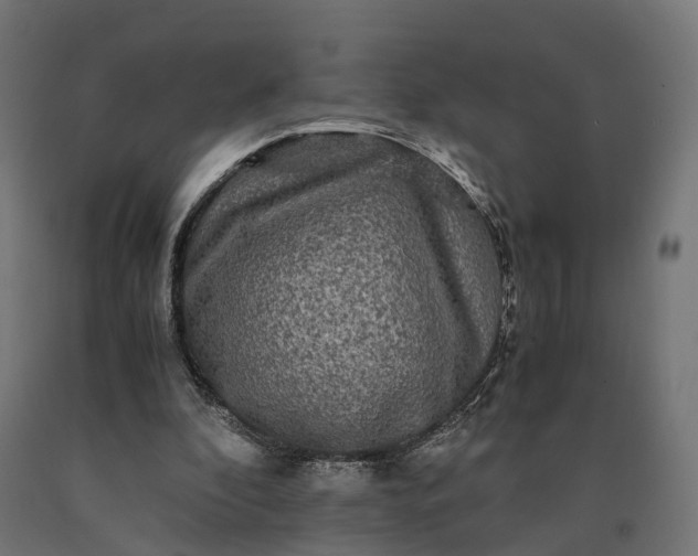 X0000090760296200708031636