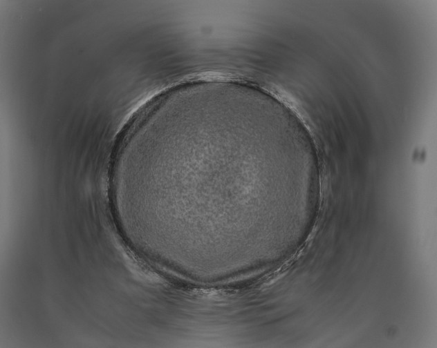 X0000090760297200708031636