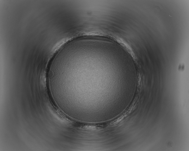 X0000090760298200708031636