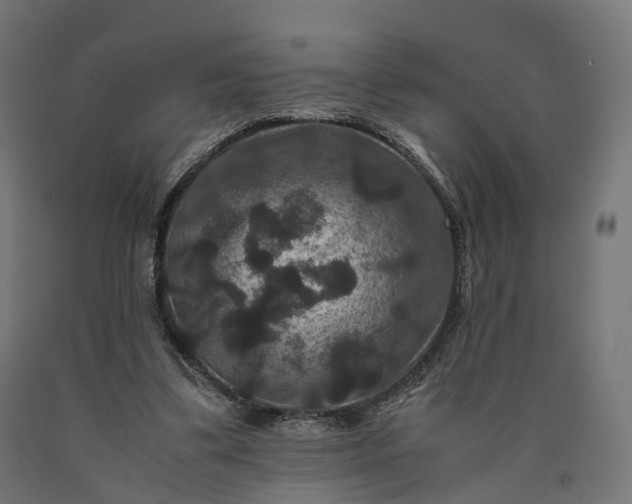 X0000090760299200708031636