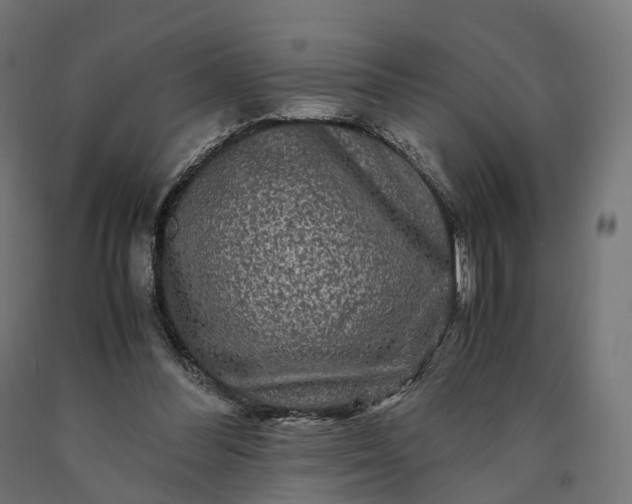 X0000090760300200708031636