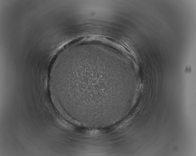 X0000090760301200708031636