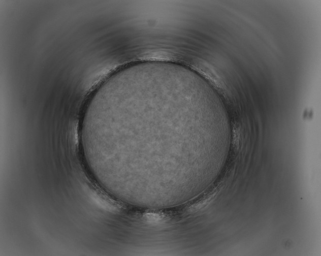 X0000090760302200708031636