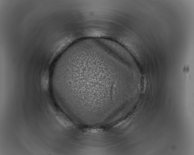 X0000090760304200708031636