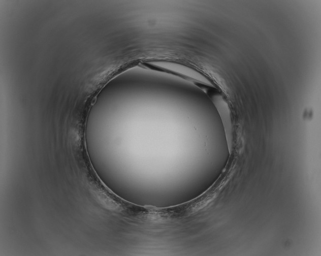 X0000090760305200708031636