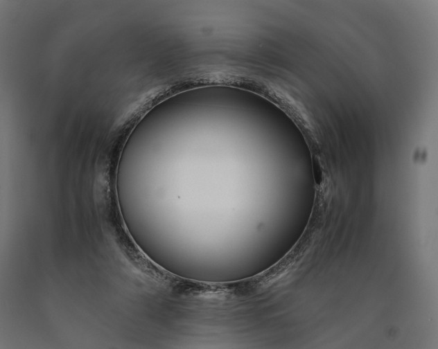 X0000090760306200708031636