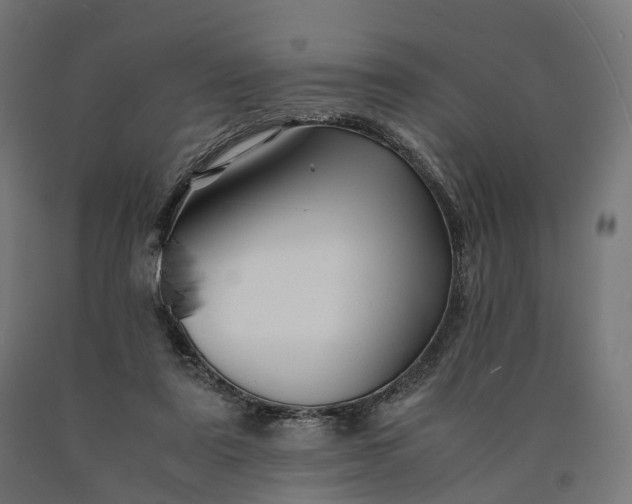 X0000090760307200708031636