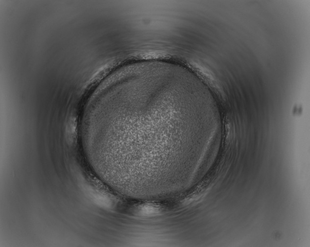 X0000090760308200708031636