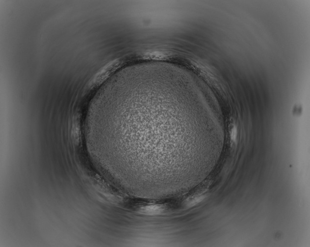 X0000090760312200708031636