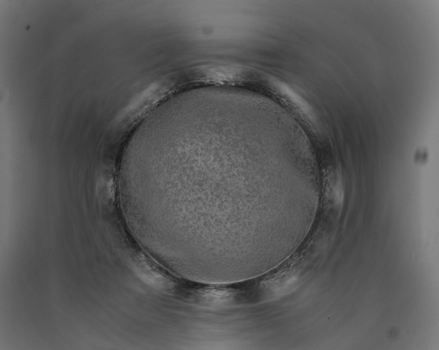 X0000090760313200708031636