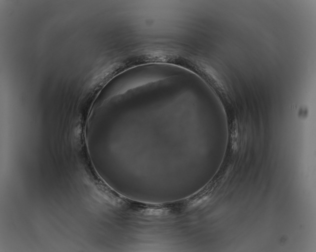 X0000090760314200708031636