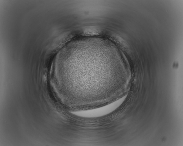 X0000090760315200708031636