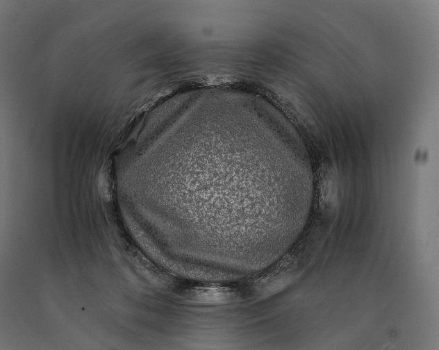 X0000090760316200708031636