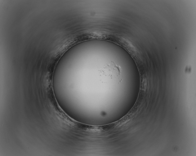 X0000090760318200708031636