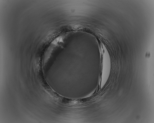 X0000090760319200708031636