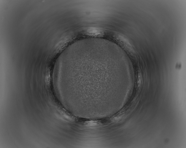 X0000090760320200708031636