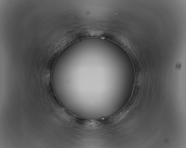 X0000090760321200708031636