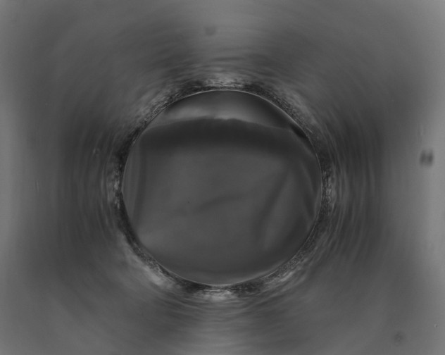 X0000090760322200708031636