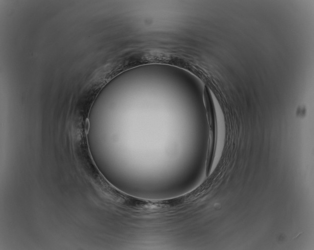 X0000090760323200708031636