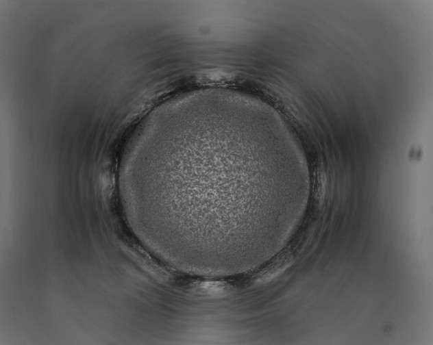 X0000090760324200708031636