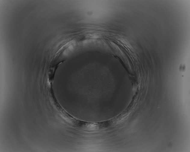 X0000090760325200708031636