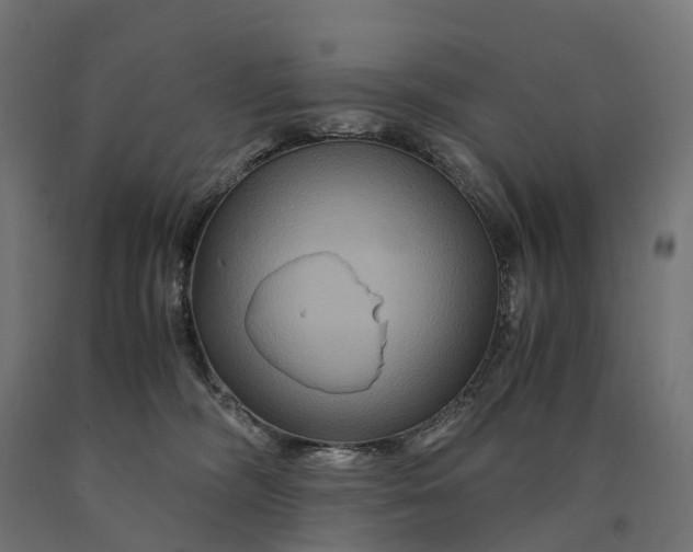 X0000090760326200708031636