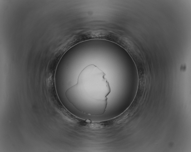 X0000090760327200708031636