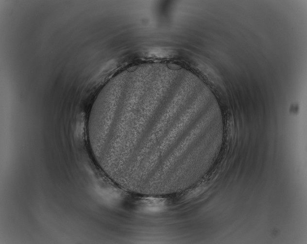 X0000090760328200708031636