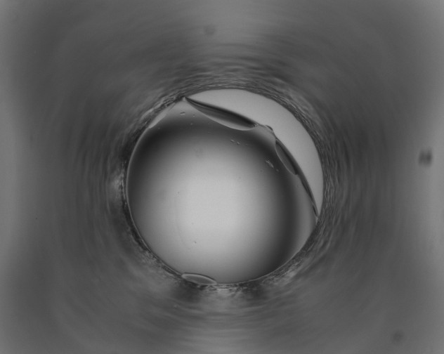 X0000090760329200708031636