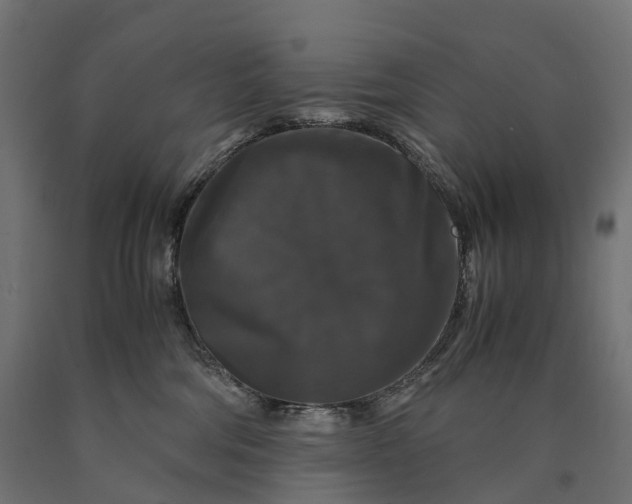 X0000090760330200708031636