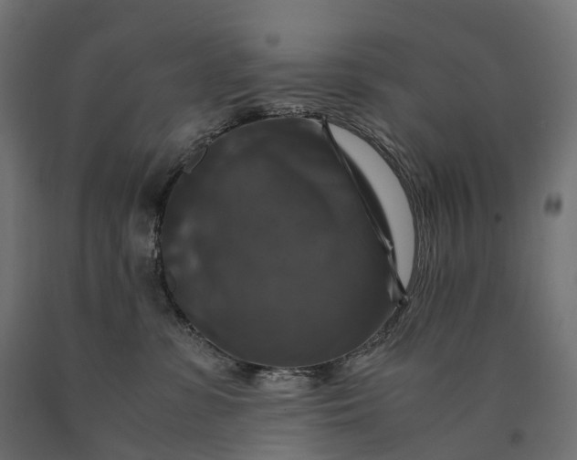 X0000090760331200708031636